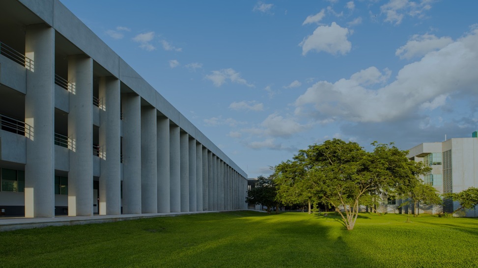 Vista del campus